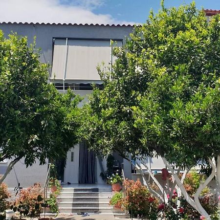 Guesthouse Anila Divjaka Zewnętrze zdjęcie