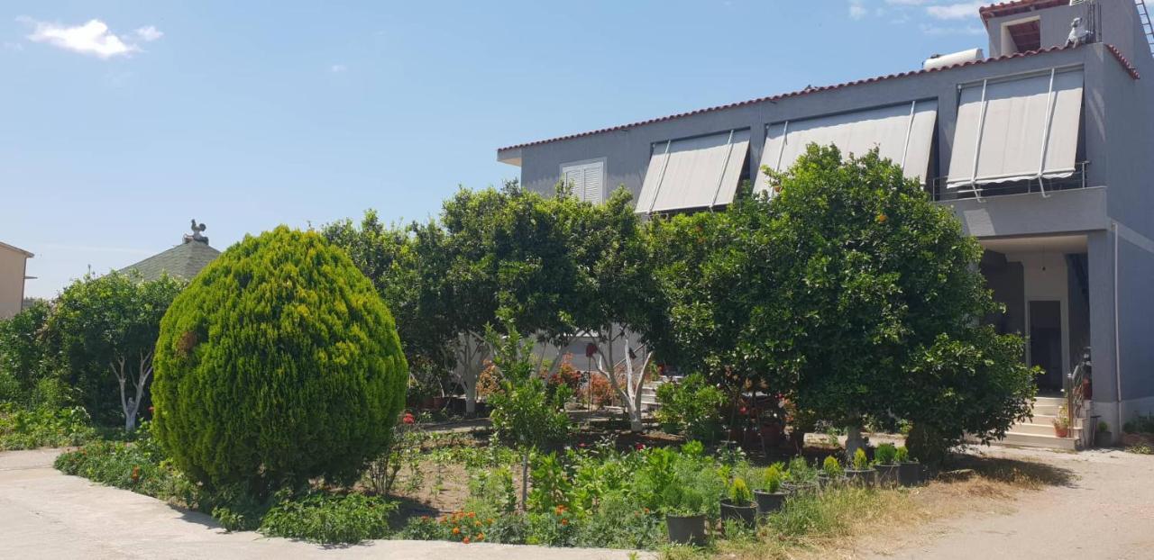 Guesthouse Anila Divjaka Zewnętrze zdjęcie