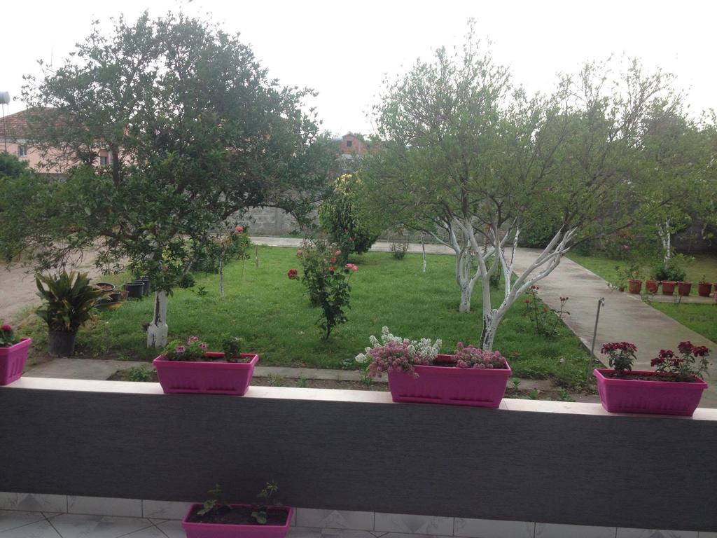 Guesthouse Anila Divjaka Zewnętrze zdjęcie