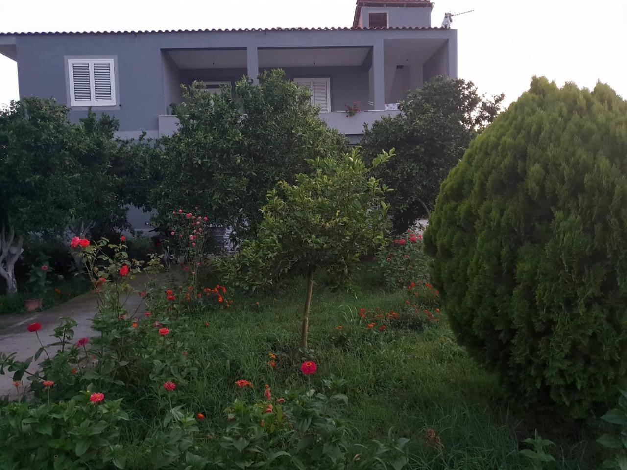 Guesthouse Anila Divjaka Zewnętrze zdjęcie