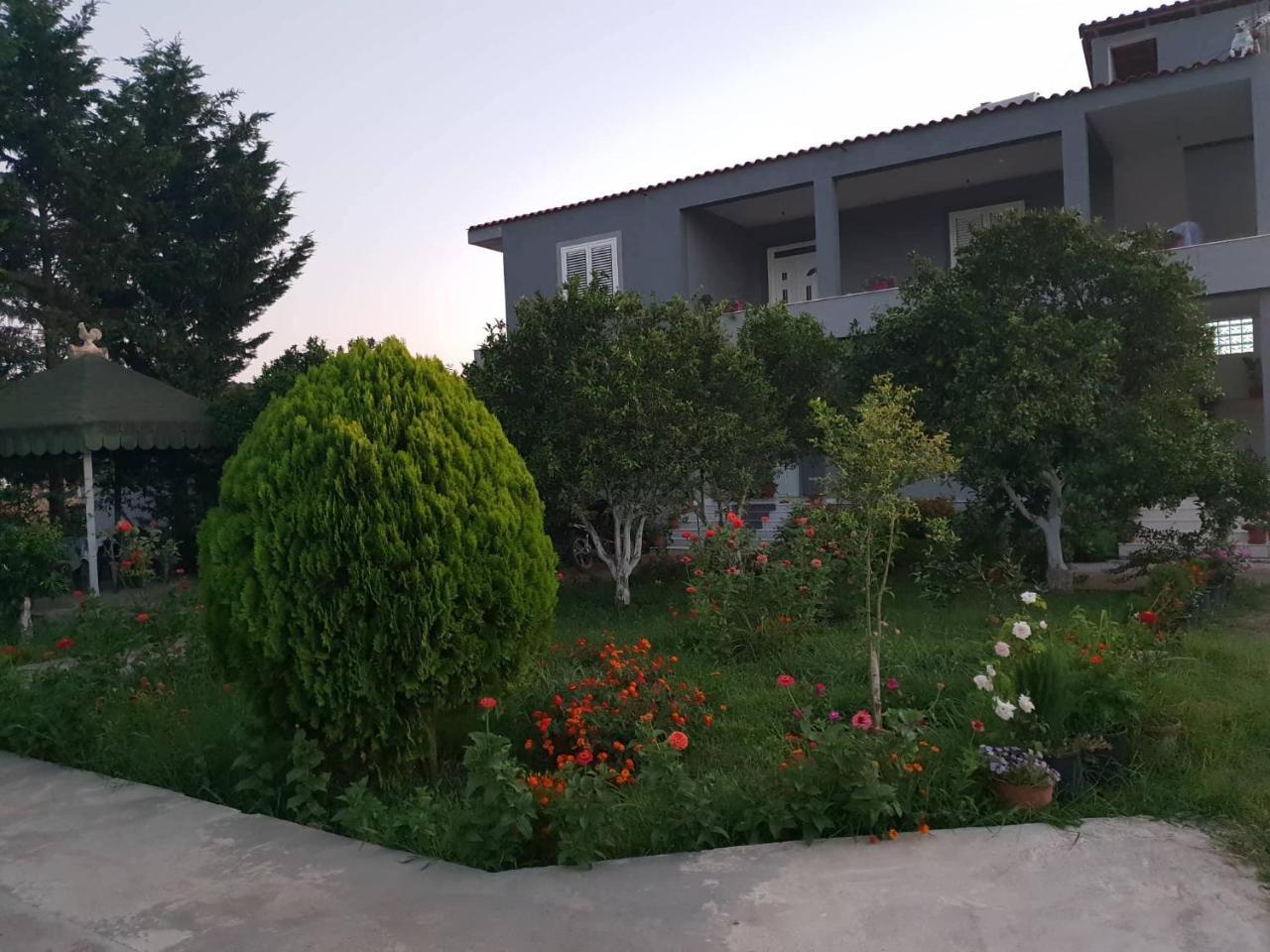 Guesthouse Anila Divjaka Zewnętrze zdjęcie