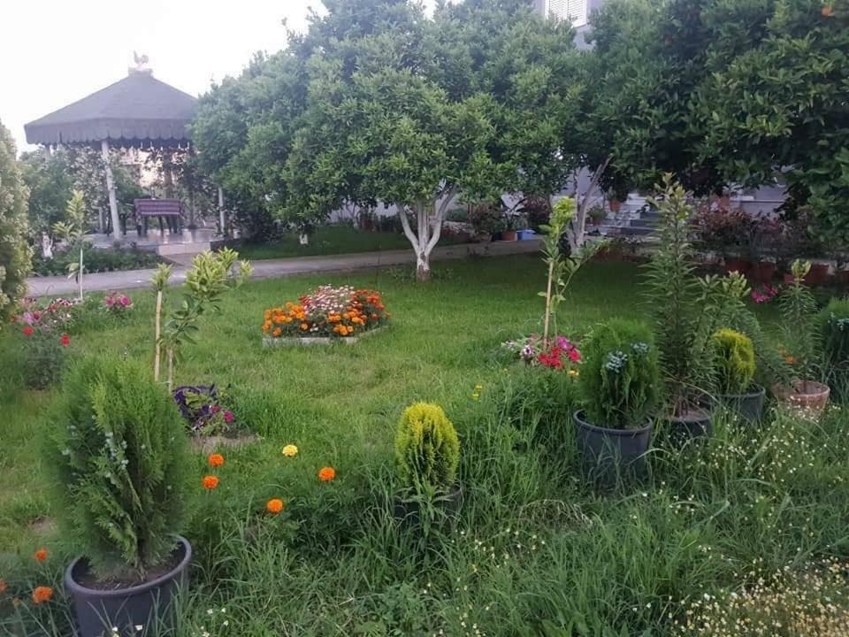 Guesthouse Anila Divjaka Zewnętrze zdjęcie