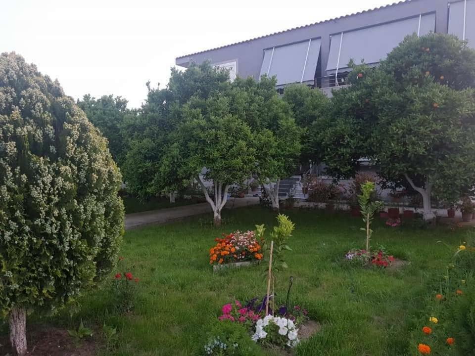 Guesthouse Anila Divjaka Zewnętrze zdjęcie